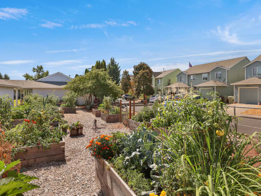 Highland Court Apartments Vegetable Garden