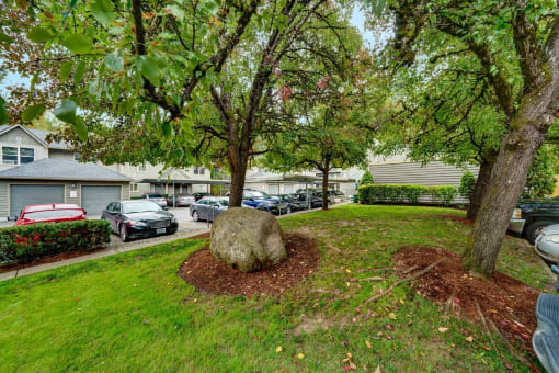 a yard with trees and a rock in the grass