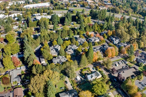an aerial view of a neighborhood with trees and houses