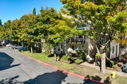 an empty street in front of an apartment building with trees