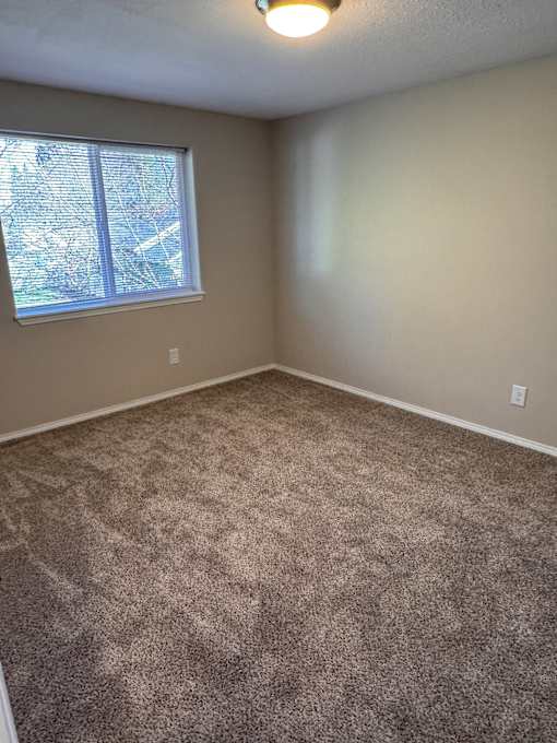 A room with a carpeted floor and a window with a view of trees and a building outside.