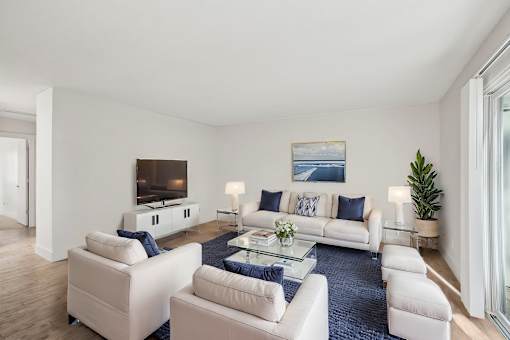A living room with a white couch and a blue rug.