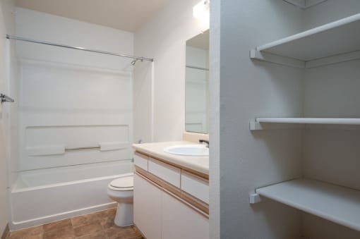Bathroom Shelves