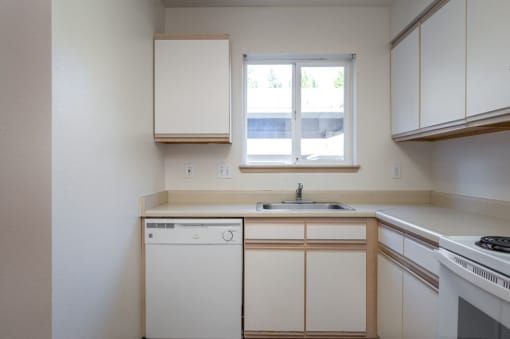 Kitchen Sink Window