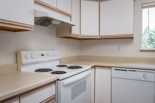 Stove