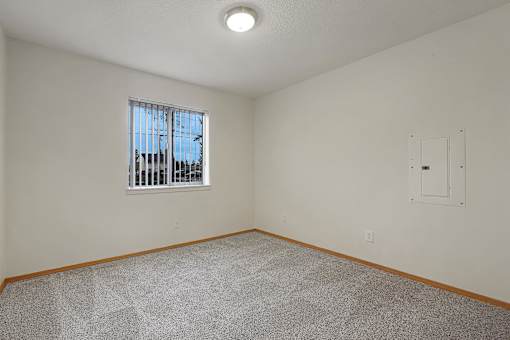 A room with a window and a carpeted floor.