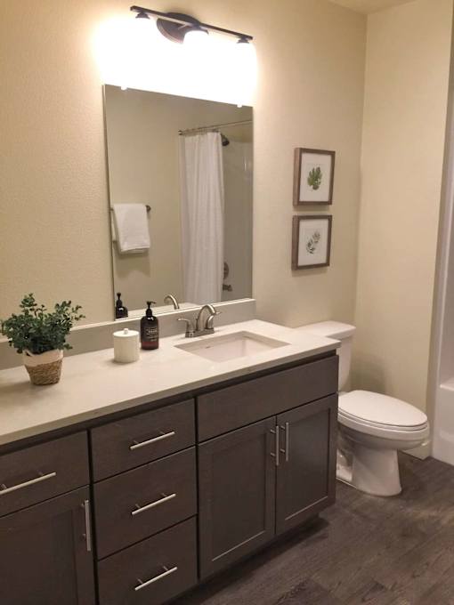 A bathroom with a white toilet and a sink with a mirror above it.