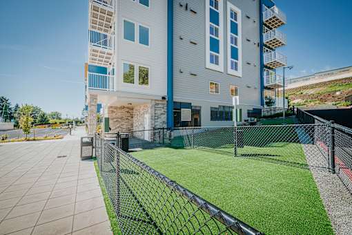 Grand Vista Apartments Dog area