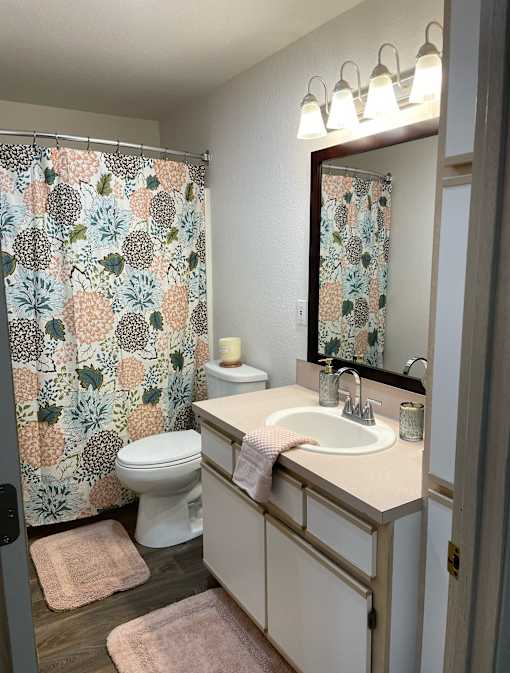 A bathroom with a sink, toilet, and shower curtain.