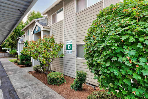 Cedar Grove Apartments