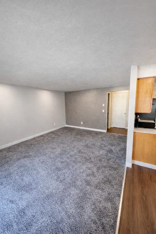 A room with a grey carpet and a wooden floor.