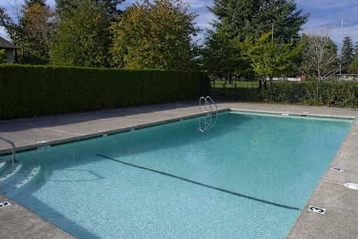 A rectangular pool with a hedge in the background.