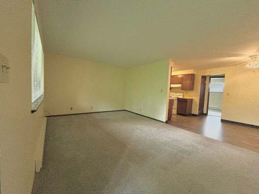 A spacious room with a carpeted floor and a window on the left side.