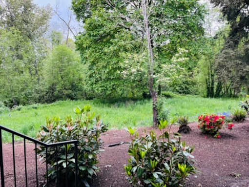 A garden with a metal fence and flowering plants.