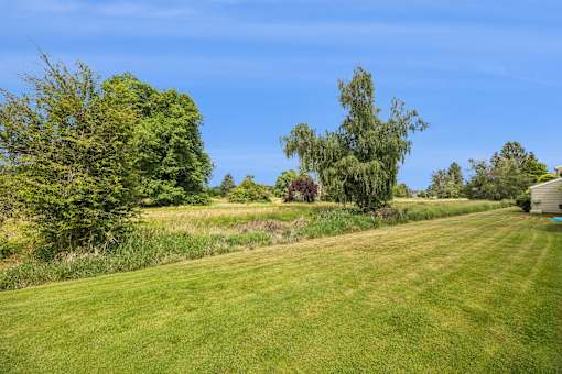 A lush green field with trees and a house in the distance.