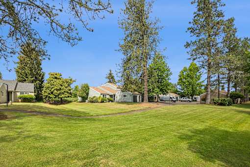 A large grassy area with trees and houses in the background.