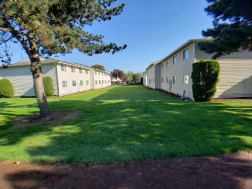 a large grassy area with a tree in the middle of it