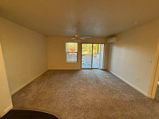 A room with a carpet floor and a ceiling fan.