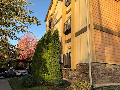 A building with a balcony and a tree in front of it.
