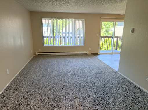 A room with a carpeted floor and a sliding glass door leading to a balcony.