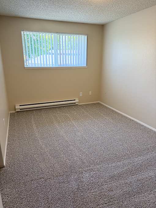 A room with a window and a carpeted floor.