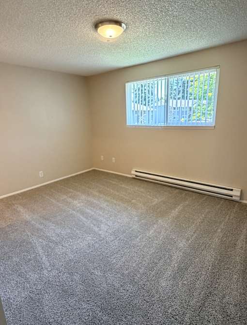 A room with a carpeted floor and a window with blinds.