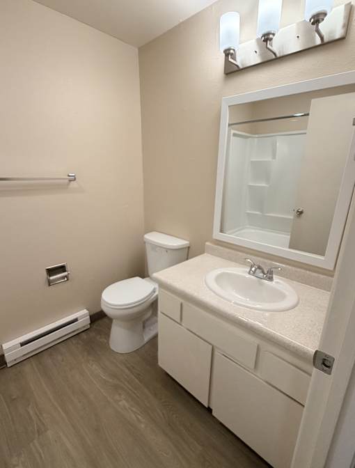 A bathroom with a toilet, sink, and mirror.