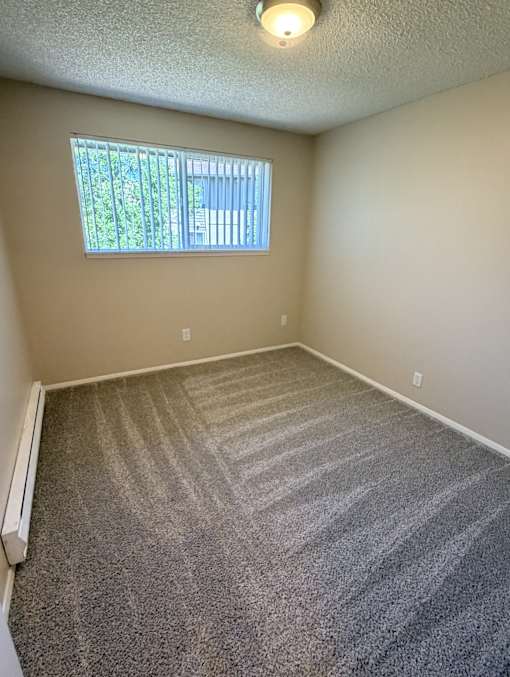 A room with a carpeted floor and a window.