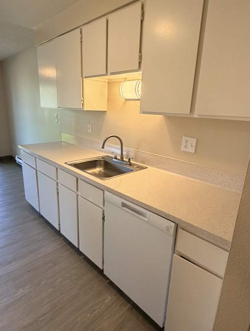 A kitchen with white cabinets and a sink.