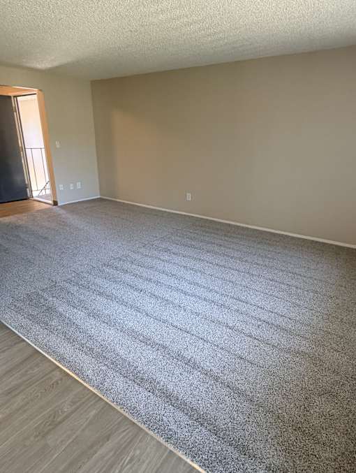 A room with a grey carpet and wooden floor.