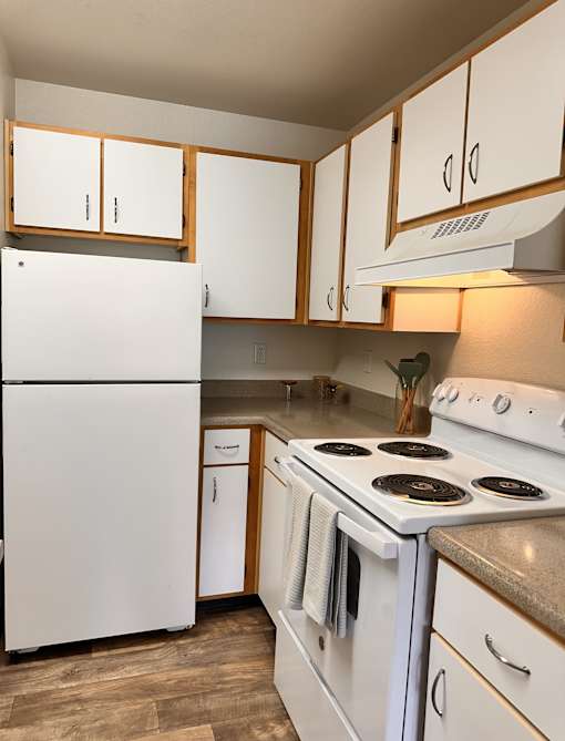 A white fridge and stove in a kitchen with wooden cabinets.