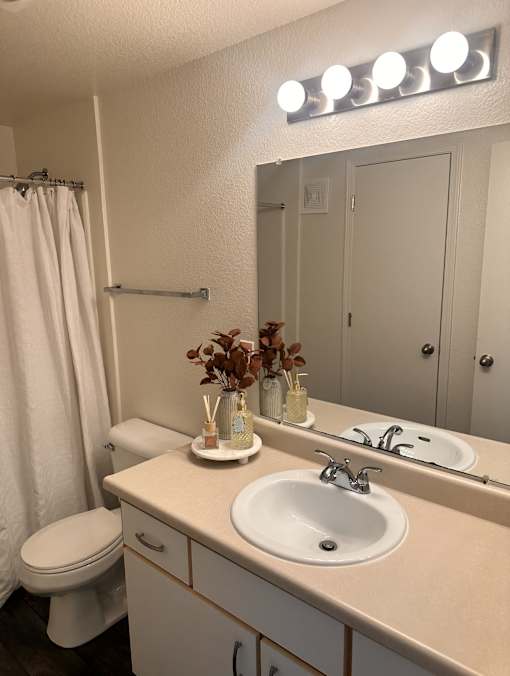 A bathroom with a sink, toilet, and mirror.