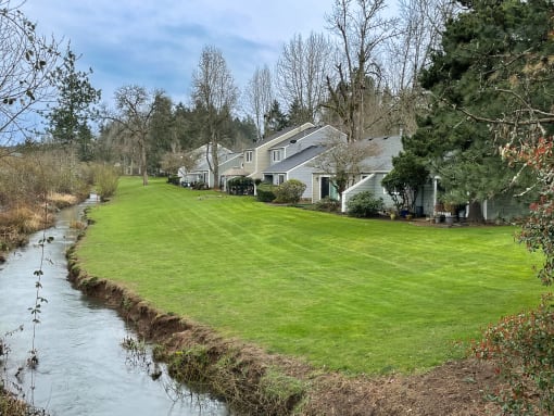 a grassy area next to a river with houses in the background
