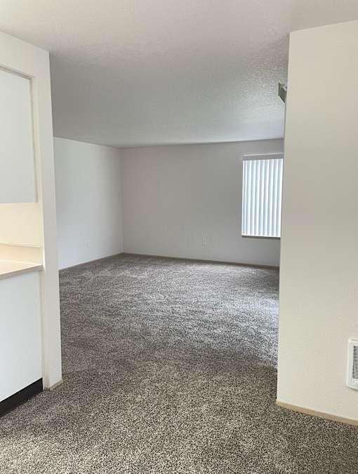 A room with a carpeted floor and a window with blinds.