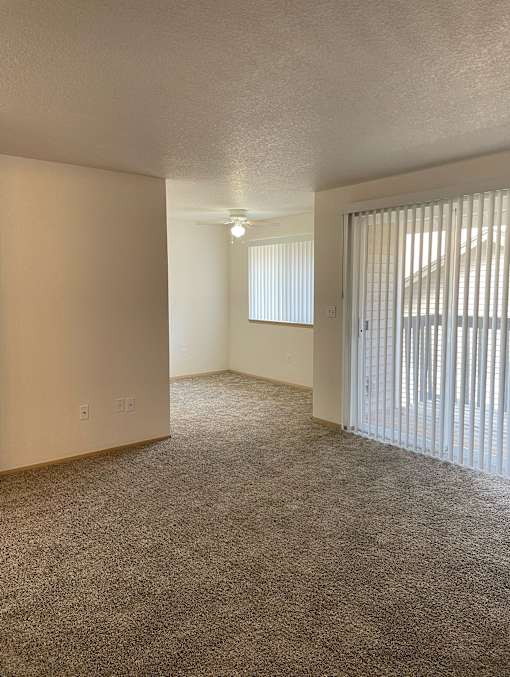 A room with a carpeted floor and a window with blinds.