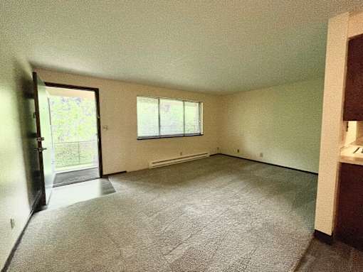 A room with a carpeted floor and a window.