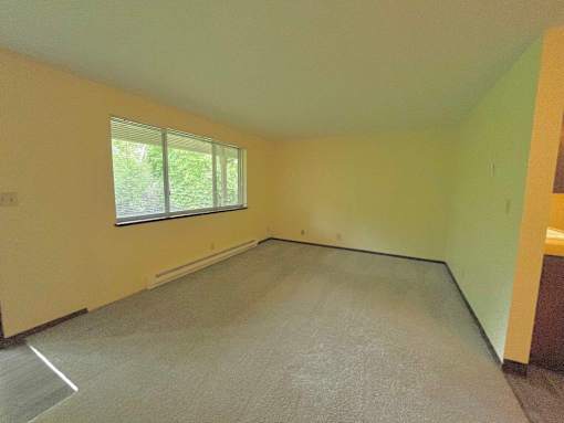 A room with a window and a carpeted floor.
