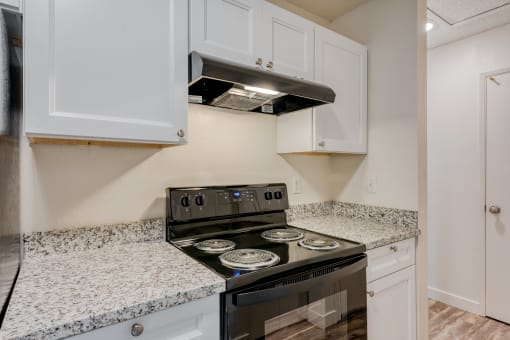 Michael Manor Kitchen Stove