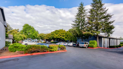 Michael Manor Parking Lot