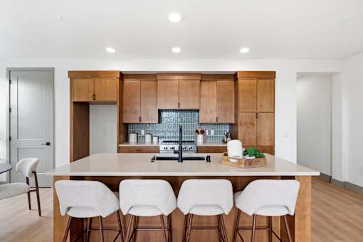 Pearson Lofts Kitchen