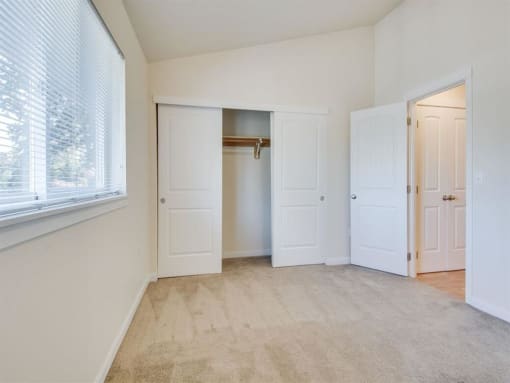 Bedroom Closet