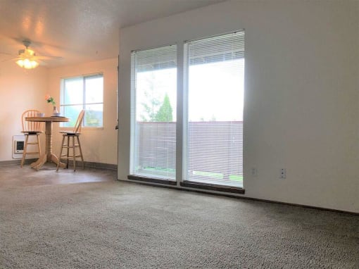 Sliding Glass Door