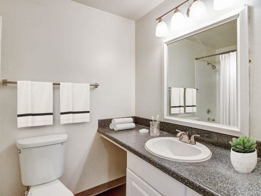 Bathroom Foothills Apartments Portland OR
