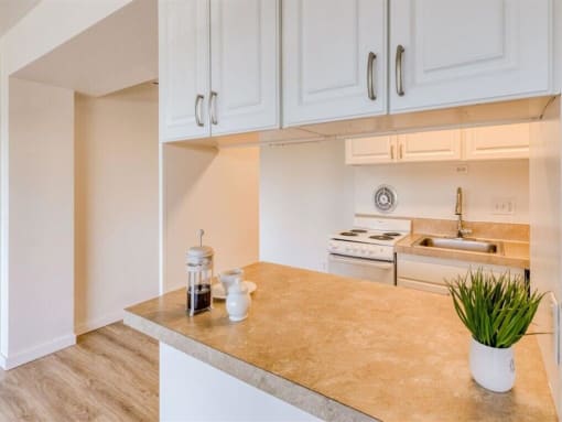 Kitchen Bar