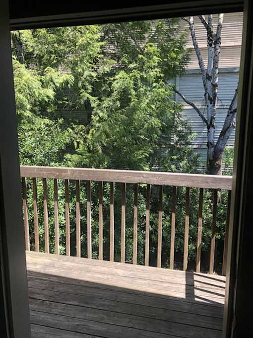 A view of a wooden staircase and a tree through a window.