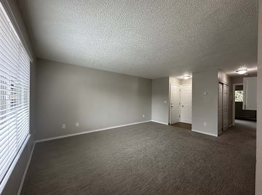 A room with a carpeted floor and a window with blinds.