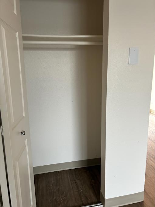 Mt. Pleasant Apartments Bedroom Closet