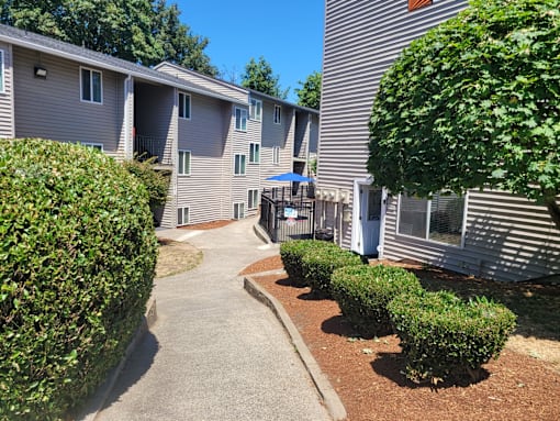 A sunny day at the apartment complex with green bushes and a clear blue sky.