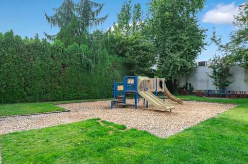 A playground with a blue slide and yellow slide.