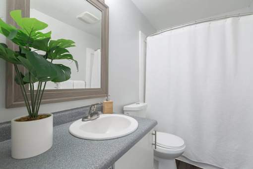 A bathroom with a sink, toilet, and a mirror.